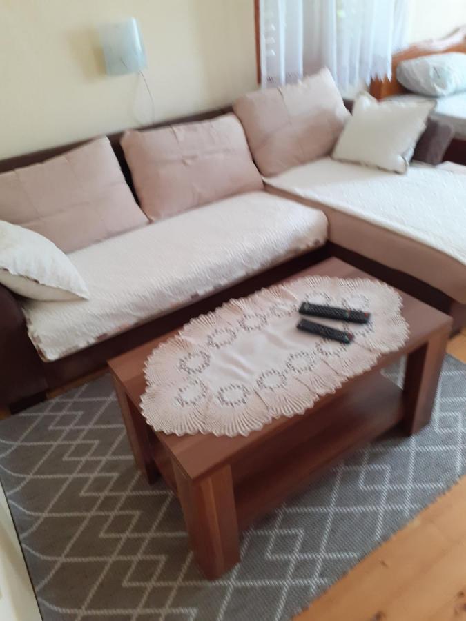 Studio Apartman Jelena Zaovine Extérieur photo